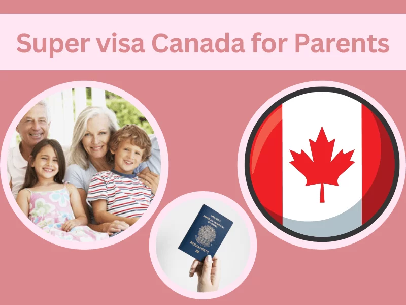 Super Visa Income Requirements 2025-26 | Updated LICO Table & Eligibility Guide