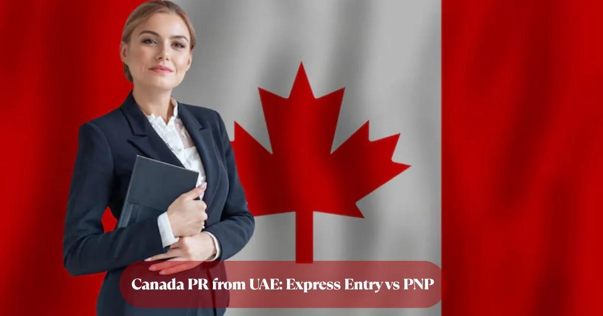 Is Express Entry or PNP Better for You? A K7 Immigration Consultation Breakdown